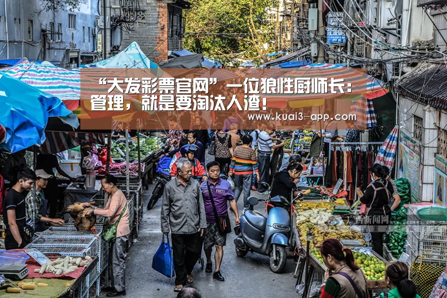大发彩票走势分析