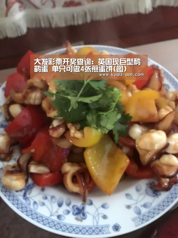 大发彩票开奖查询