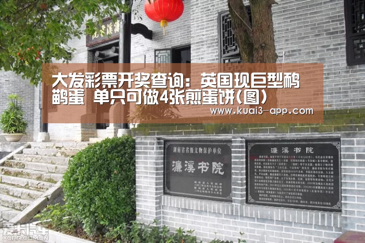大发彩票官网