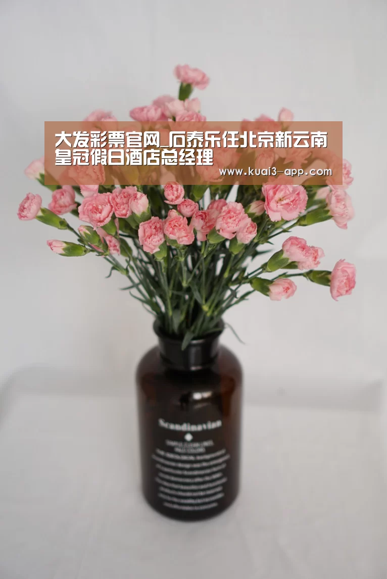 大发彩票官网_石泰乐任北京新云南皇冠假日酒店总经理(图1) 大发彩票开奖查询